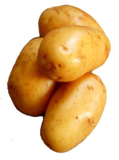 Potato White